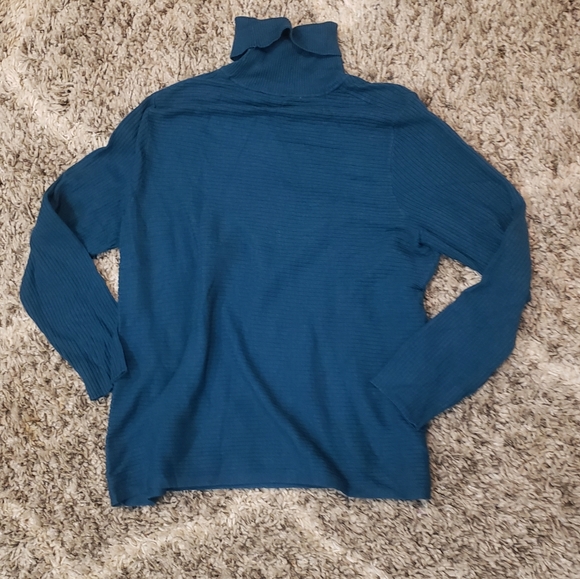 NWT Investments Plus Size Teal Turtleneck Sweater - Picture 3 of 4